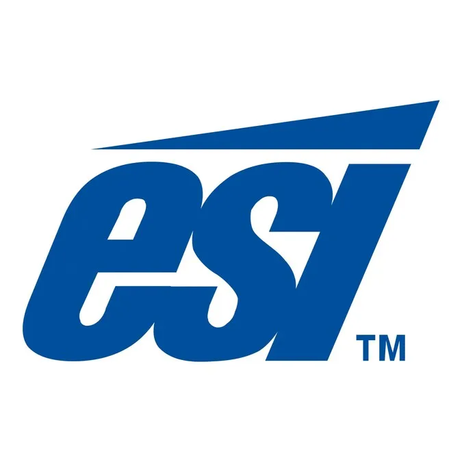 ESI Enterprises ESI Enterprises